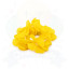 PULSERA TELA HAWAIANA - AMARILLO