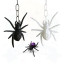ARAÑA LUMINOSA